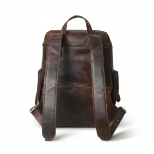 Alpha Brown Backpack