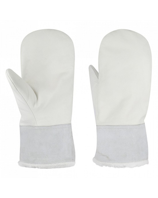 Winter Gloves